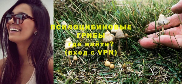 тгк Алзамай