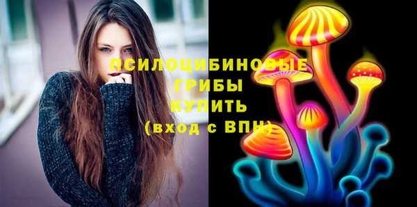 тгк Алзамай