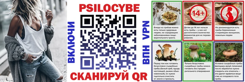 ОМГ ОМГ вход Большой Камень Галлюциногенные грибы мухоморы